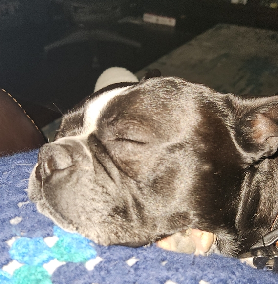 You Are Welcome To Make An Offer !!! - Picture 1 of 2